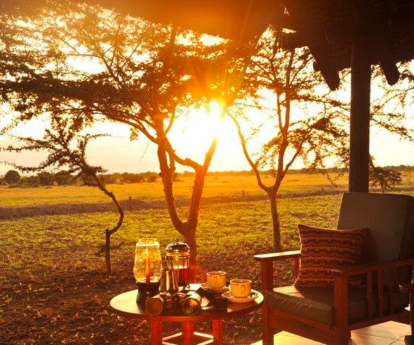South Africa Hunting Safari Packages 2026